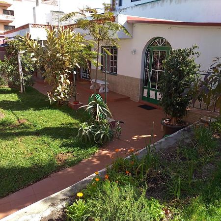 Finca Los Pajaritos Villa Icod De Los Vinos Dış mekan fotoğraf