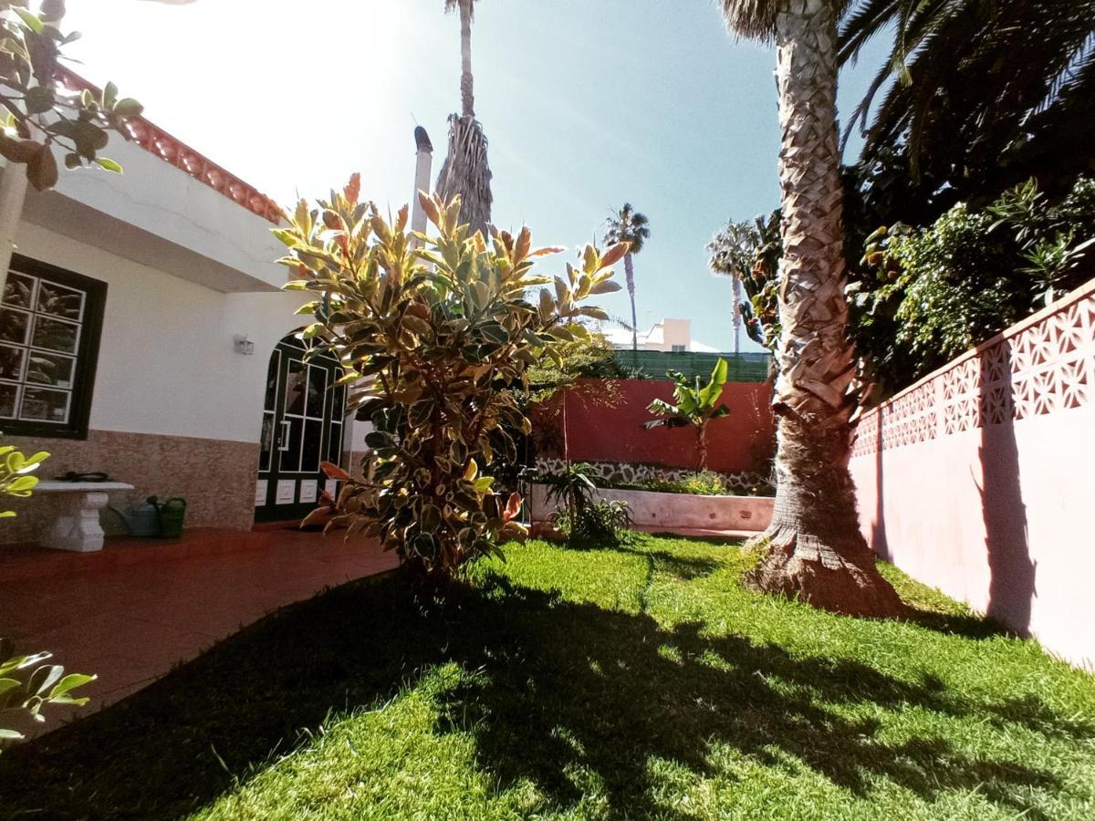 Finca Los Pajaritos Villa Icod De Los Vinos Dış mekan fotoğraf