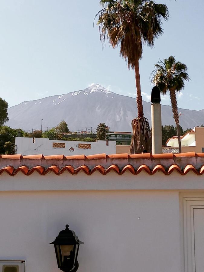 Finca Los Pajaritos Villa Icod De Los Vinos Dış mekan fotoğraf